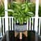 Flora Bunda 7" Mountain Cement Planter With Wood Stand